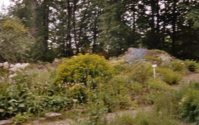 Berlin Botanic 2.jpg